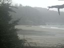 ./images/calvert/beach/20210815/beach20210815_115502.jpg
