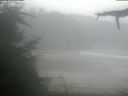 ./images/calvert/beach/20210815/beach20210815_121002.jpg