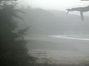 ./images/calvert/beach/20210815/beach20210815_121502.jpg