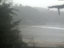 ./images/calvert/beach/20210815/beach20210815_132003.jpg