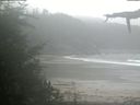 ./images/calvert/beach/20210815/beach20210815_135502.jpg