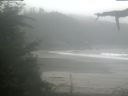 ./images/calvert/beach/20210815/beach20210815_141002.jpg