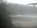 ./images/calvert/beach/20210815/beach20210815_141503.jpg