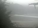 ./images/calvert/beach/20210815/beach20210815_144001.jpg