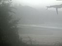 ./images/calvert/beach/20210815/beach20210815_144502.jpg