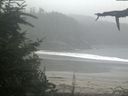 ./images/calvert/beach/20210815/beach20210815_152003.jpg