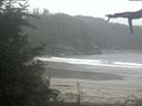 ./images/calvert/beach/20210815/beach20210815_154003.jpg