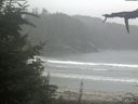 ./images/calvert/beach/20210815/beach20210815_170501.jpg