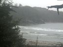 ./images/calvert/beach/20210815/beach20210815_171002.jpg