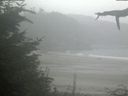 ./images/calvert/beach/20210818/beach20210818_143502.jpg