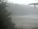 ./images/calvert/beach/20210818/beach20210818_144003.jpg