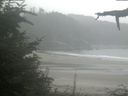 ./images/calvert/beach/20210818/beach20210818_145002.jpg