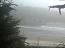 ./images/calvert/beach/20210818/beach20210818_184502.jpg