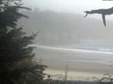 ./images/calvert/beach/20210818/beach20210818_185001.jpg