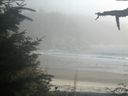 ./images/calvert/beach/20210818/beach20210818_185502.jpg