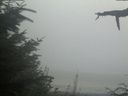 ./images/calvert/beach/20210818/beach20210818_192003.jpg
