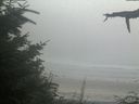 ./images/calvert/beach/20210818/beach20210818_194002.jpg