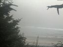 ./images/calvert/beach/20210818/beach20210818_195003.jpg