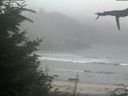 ./images/calvert/beach/20210818/beach20210818_201502.jpg