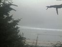./images/calvert/beach/20210818/beach20210818_202002.jpg
