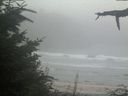 ./images/calvert/beach/20210818/beach20210818_202501.jpg