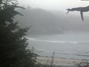 ./images/calvert/beach/20210818/beach20210818_203502.jpg