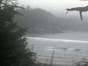 ./images/calvert/beach/20210818/beach20210818_204002.jpg