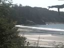 ./images/calvert/beach/20210819/beach20210819_141502.jpg