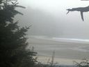 ./images/calvert/beach/20210820/beach20210820_201501.jpg
