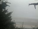 ./images/calvert/beach/20210820/beach20210820_202002.jpg