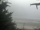 ./images/calvert/beach/20210820/beach20210820_202501.jpg