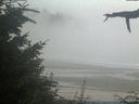 ./images/calvert/beach/20210820/beach20210820_203501.jpg