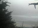 ./images/calvert/beach/20210820/beach20210820_210503.jpg