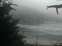 ./images/calvert/beach/20210820/beach20210820_211002.jpg