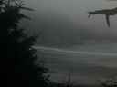 ./images/calvert/beach/20210820/beach20210820_211505.jpg