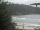 ./images/calvert/beach/20210822/beach20210822_145001.jpg