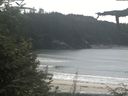 ./images/calvert/beach/20210824/beach20210824_141003.jpg