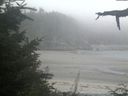 ./images/calvert/beach/20210824/beach20210824_202501.jpg