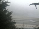 ./images/calvert/beach/20210824/beach20210824_204002.jpg