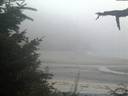 ./images/calvert/beach/20210824/beach20210824_204503.jpg