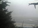 ./images/calvert/beach/20210824/beach20210824_205002.jpg