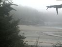 ./images/calvert/beach/20210825/beach20210825_073501.jpg