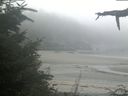./images/calvert/beach/20210825/beach20210825_074002.jpg
