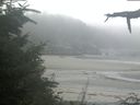 ./images/calvert/beach/20210825/beach20210825_074502.jpg