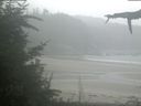 ./images/calvert/beach/20210826/beach20210826_111502.jpg