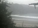 ./images/calvert/beach/20210826/beach20210826_140001.jpg