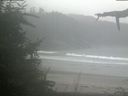 ./images/calvert/beach/20210826/beach20210826_141501.jpg