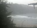 ./images/calvert/beach/20210826/beach20210826_144002.jpg
