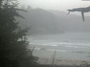 ./images/calvert/beach/20210826/beach20210826_150502.jpg