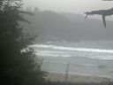 ./images/calvert/beach/20210826/beach20210826_161001.jpg